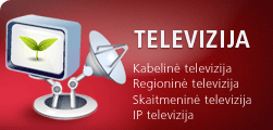 Televizija